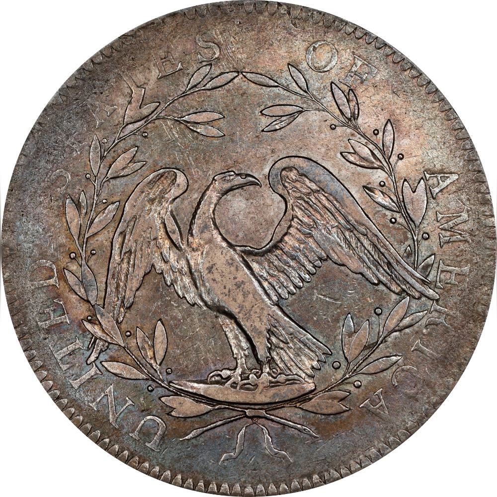 1794-$1-Silver-Dollar-Comparison---Round-2---Now-A-Million-Dollar-Coin?